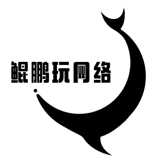 上海鲲鹏玩网络科技有限公司