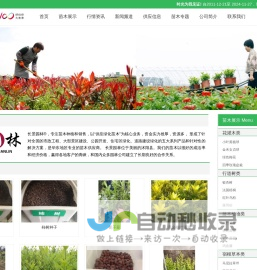 [长景园林] 苗木批发基地-绿化公司-提供苗木报价-品种名称图片查询-三点水商贸