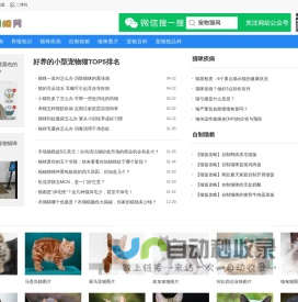 宠物猫交易|免费买猫卖猫平台 - 宠物猫网