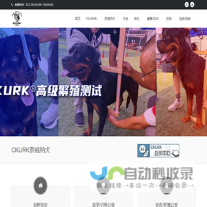 CKURK罗威纳犬