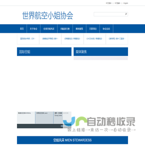 世界航空小姐协会