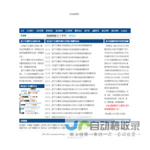 翻译民航网