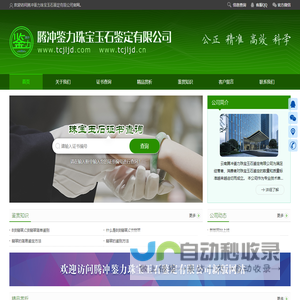 腾冲鉴力珠宝玉石鉴定有限公司