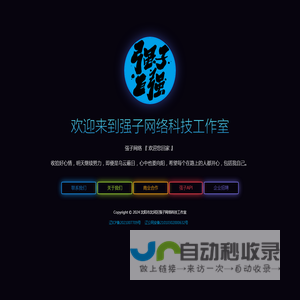 沈阳市沈河区强子网络科技工作室-十二年老品牌互联网公司