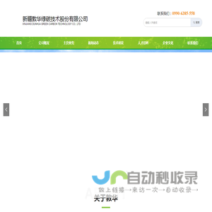 新疆敦华绿碳技术股份有限公司