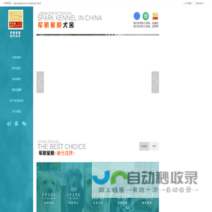 军航星原拉布拉多犬舍丨拉布拉多寻回猎犬丨拉布拉多犬