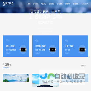 四川蓝彩电子科技有限公司