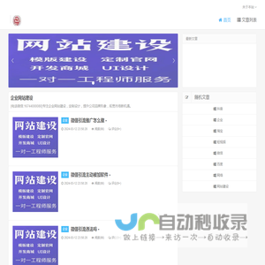 企业网站建设 - 公司