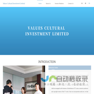 Values Cultural Investment Limited