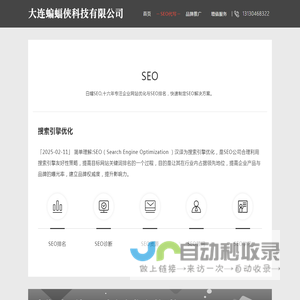 SEO-搜索引擎优化-十六年SEO实战经验-蝙蝠侠IT