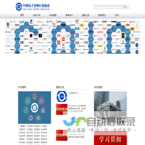 中国电子音响行业协会