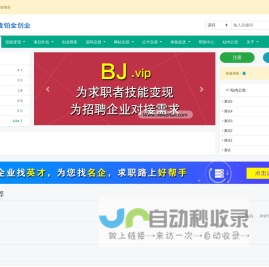 bj.vip - 网隆铂金创业