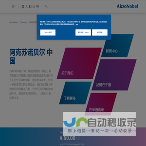 阿克苏诺贝尔中国 | AkzoNobel