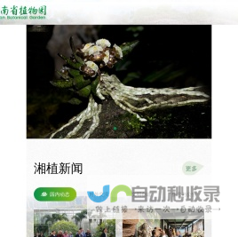 湖南省植物园_湖南省森林植物园_濒危植物_植物保护_森林公园_生态旅游